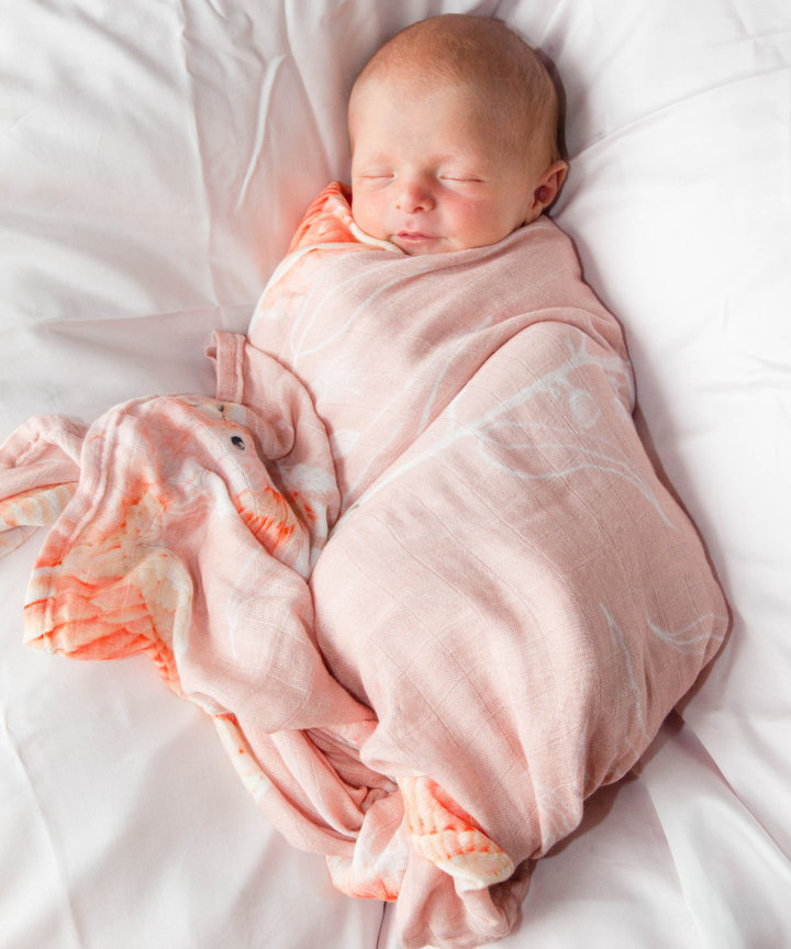 Swaddle Blanket in Cockatoo