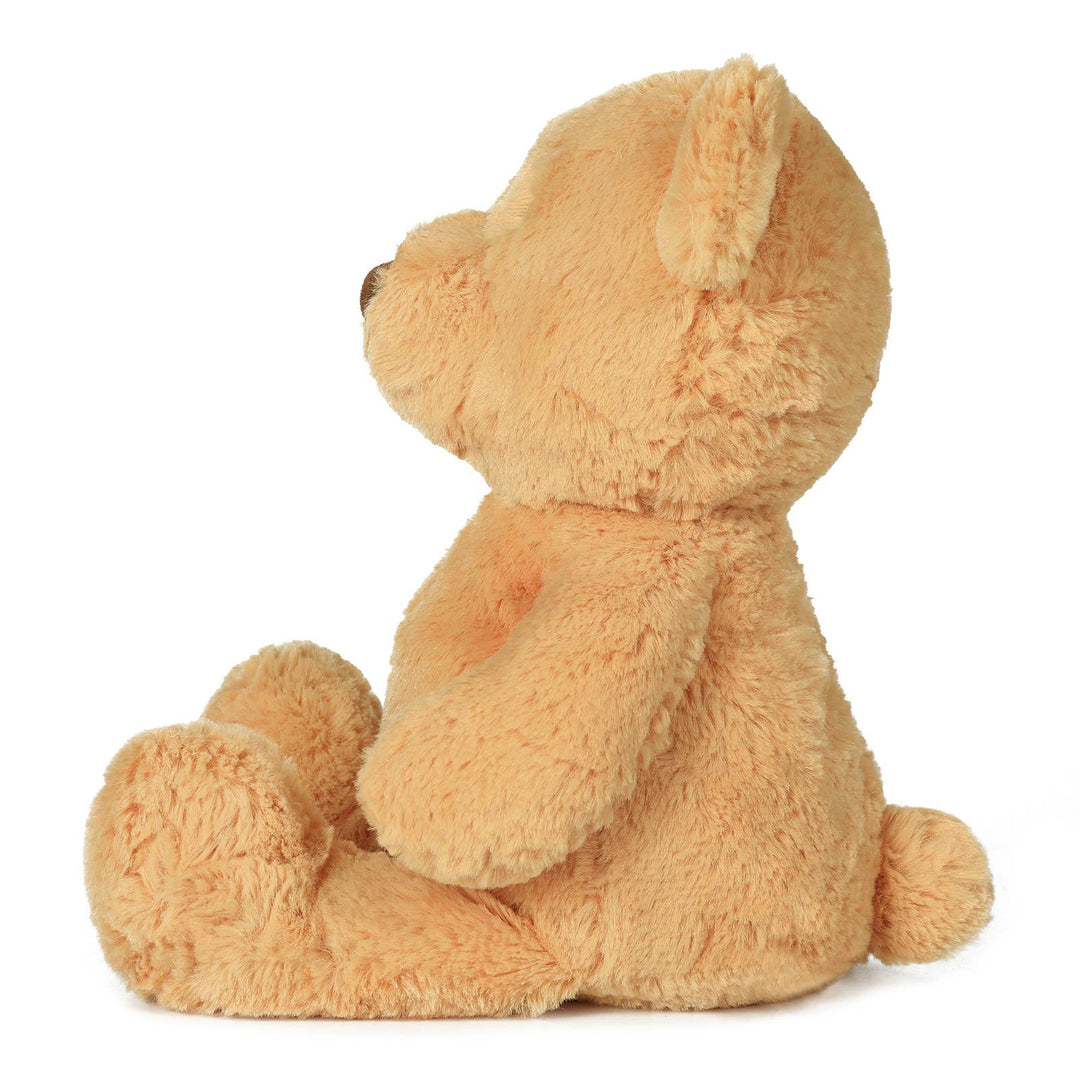 Honey Bear Soft Toy 13.5"/34cm