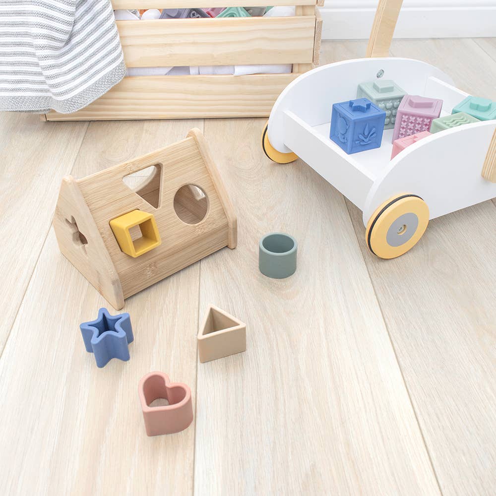 House Shape Sorter